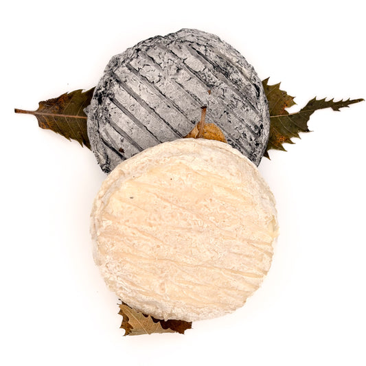 Mothais sur feuille