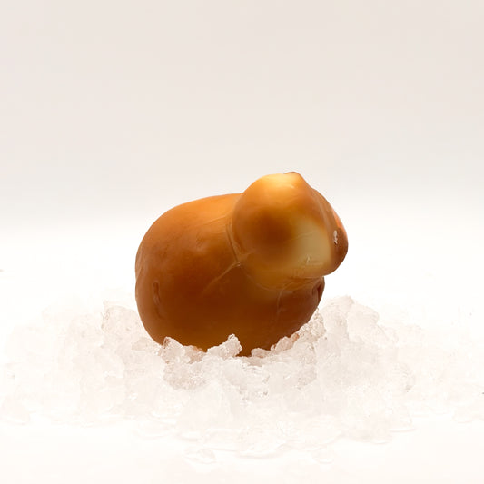 Scamorza